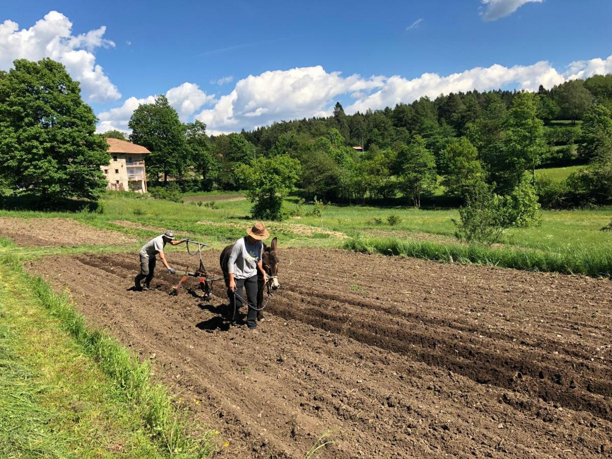 Ferienwohnung Bauernhof Hof Unternberg Margreid an der Weinstraße Exterior foto